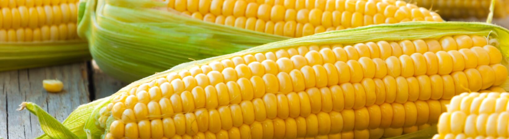 Mais – mehr als nur Popcorn