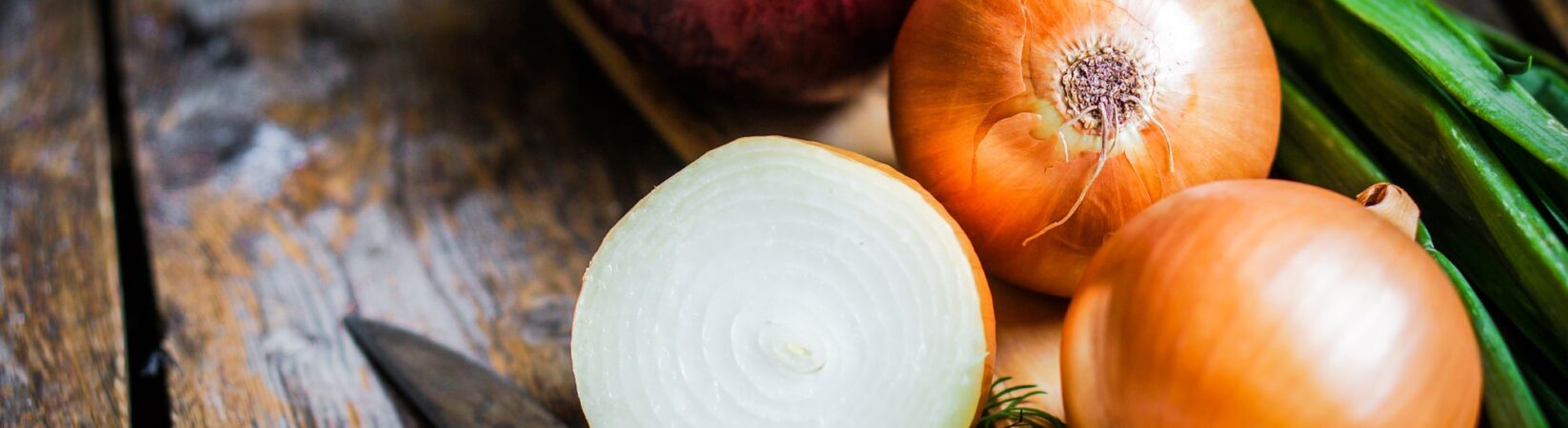 Zwiebel – Natürliches Antibiotikum und „Wunder“-Heilmittel