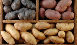 Kartoffeln – Helfen sie beim Abnehmen oder machen sie dick?